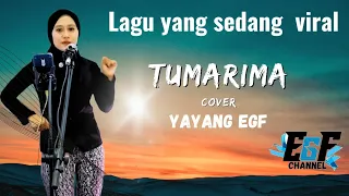 LAGU VIRAL TUMARIMA - YAYANG EGF ( COVER )