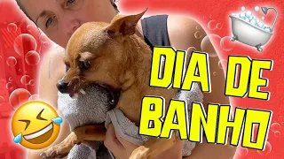 OS SEGREDOS DO BANHO EM CASA NO SEU CACHORRO | Quase fiquei sem dedo 😂