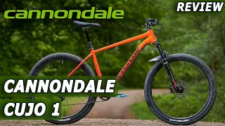 Review bike Cannondale Cujo 1