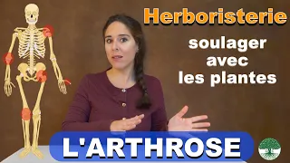 L'arthrose, soulager la douleur par les plantes, remèdes d'herboriste