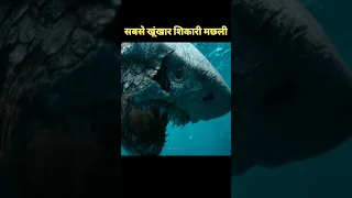 Megalodon-सबसे खूंखार शिकारी  का क्या हुआ था 😱| Why Megalodon become extinct?? #shorts #crazyxyz