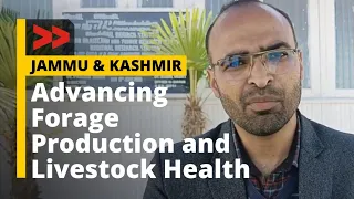 IGFRI’s Impact: Advancing Forage Production and Livestock Health in Kashmir