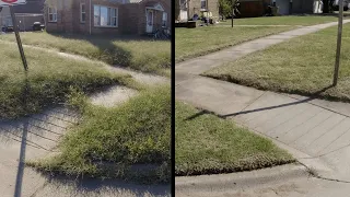 Disabled Woman SHOCKED at Her OVERGROWN Lawn Transformation - I MOWED and EDGED for FREE - Part 2