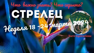 СТРЕЛЕЦ♐НЕДЕЛЯ 18 - 24 МАРТА 2024🌈ЧТО ВАЖНО ЗНАТЬ? ЧТО СКРЫТО? ✔️ГОРОСКОП ТАРО Ispirazione