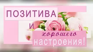 🌞Доброго дня! 🌞Хорошего настроения!🌞Позитива! 🌞Анимационное пожелание 4К