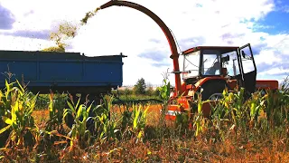 Kukurydza na kiszonkę 2020 pottinger mex 2 jednorzedowy
