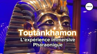 Toutânkhamon, l’expérience immersive pharaonique aux Galeries Montparnasse