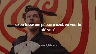 Harry Styles - Daylight (Tradução)