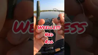 How To Hook Up a Weedless Ned Rig