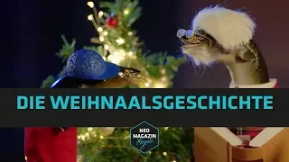 Neo Magazin Royaale: Die Weihnaalsgeschichte | Neo Magazin Royale mit Jan Böhmermann - ZDFneo