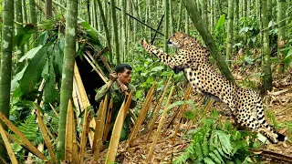 FULL VIDEO:26 days, Survival, skills, detecting leopards attacking people, skills to trap wild boar