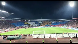 Crvena Zvezda vs. Krasnodar - Match Atmosphere (24/08/2017)