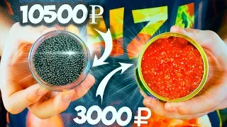 EXPENSIVE BLACK CAVIAR VS RED CAVIAR