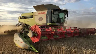 Claas Lexion 780 x3 - Svenstorps Gods