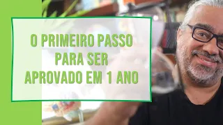 Primeiros Passos para ser APROVADO EM 1 ANO