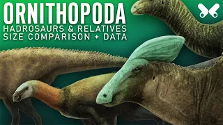 ORNITHOPODA: Hadrosaurs and relatives. Dinosaur size comparison. Paleoart