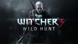 Witcher 3 Wild Hunt part 15 - Wandering in the dark