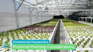 Financial Planning for Aquaponics