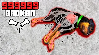 Breaking EVERY BONE As CHOP in GTA 5!