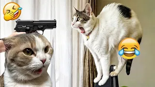 New Funny Animals🤣🐶Best Funny Dogs and Cats Videos Of The Week😁Part 10