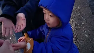 公園で遊んでから鳥さんに餌やりをした　鳥さんこっちにおいで食べるのよ＃1628　ひなごんおいちゃんどんちゃん三兄弟vlog