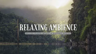 Relaxing Ambience Music With Thunder Sound | Meditation, Stress Relief , Nature Sound , Peace, Focus