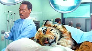 A DOCTOR discovers he has the POWER to TALK to ANIMALS and his LIFE turns into CHAOS - RECAP