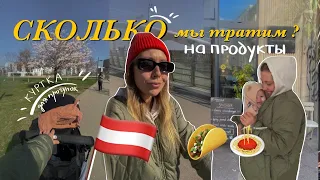 куртка для прогулок с малышом | цены на продукты в Австрии 2024 #декрет #жизньвавстрии