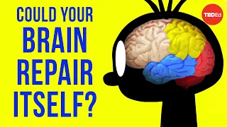 Could your brain repair itself? - Ralitsa Petrova