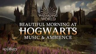 Beautiful Morning at Hogwarts | Harry Potter Music & Ambience, Reading with Hermione Granger