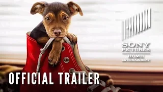 A DOG'S WAY HOME: In Theatres January 11