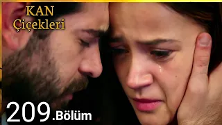 Kan Çiçekleri 209.BÖLÜM Tanitimi || Blood flower Sezon.2 Episode 209 promo with English subtitle