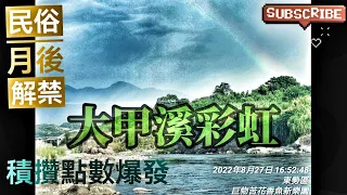 釣魚狂人4K  民俗月解禁，大甲溪爆拉霞面石斑爽，芒草釣點，一直來，大魚不斷 Stream Fishing Taiwan