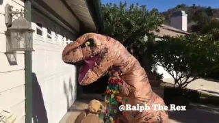 T-Rex Problems: Christmas Lights!