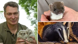 How I Encourage Wildlife to Thrive 🦉🦔🐾🦡 | My Wildlife Hacks | Robert E Fuller