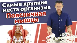 Работа с поясницей / Почему поясничная мышца так важна и что на неё влияет?