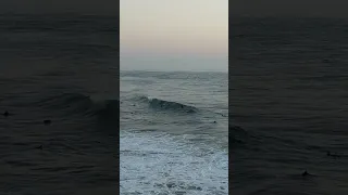 Surfing in San Francisco Ocean Beach