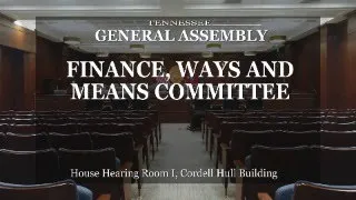 Finance, Ways & Means Committee- April 17, 2024- House Hearing Room 1