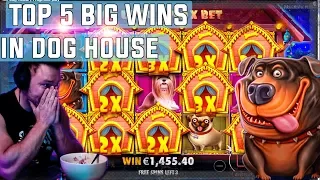 The Dog House  top 5 BIG WINS - Record win on slot