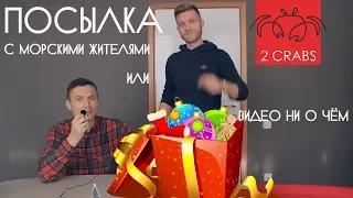 Посылка с морскими рыбками или видео - ни о чём ))