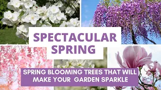 Spectacular Spring: Spring Blooming Trees and Shrubs That Will Make Your Garden Sparkle