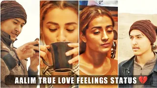 Aalim love x Sollatha Kadhal Ellam Kallaraiyila Serum Song Version Status || Aaalim True Love Status