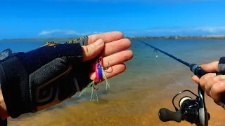 ✅️ SHOW essa pescaria ULTRALIGHT na PRAIA apenas com MICRO JIG