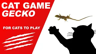 Gecko Cat Game