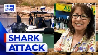 South Australian woman seriously injured in shark attack during swim | 9 News Australia