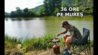 36 De Ore de PESCUIT PE MUREȘ LA PORUMB