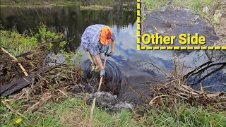 Unclogging 2 Completely Plugged Culverts To Save The Road. Releasing Raging Rapids