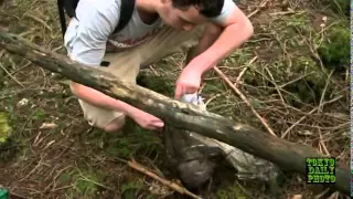 Suicide Forest in Japan - Aokigahara (青木ヶ原), also known as the Sea of Trees (樹海, Jukai)