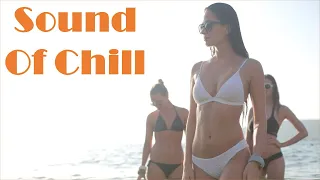 House Music 2022 Vol X5 - Soft House - Beach Bikini Party