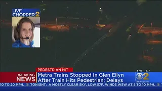 Person Struck By Metra Train Near Glen Ellyn